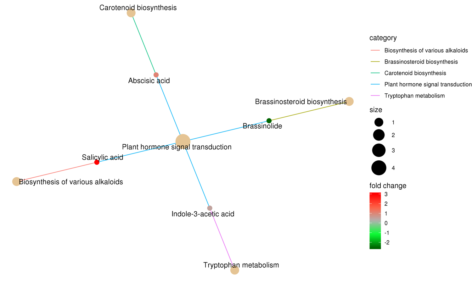 A_vs_B_KEGG_pathway_cnetplot