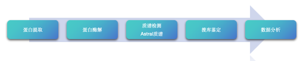 Astral路线