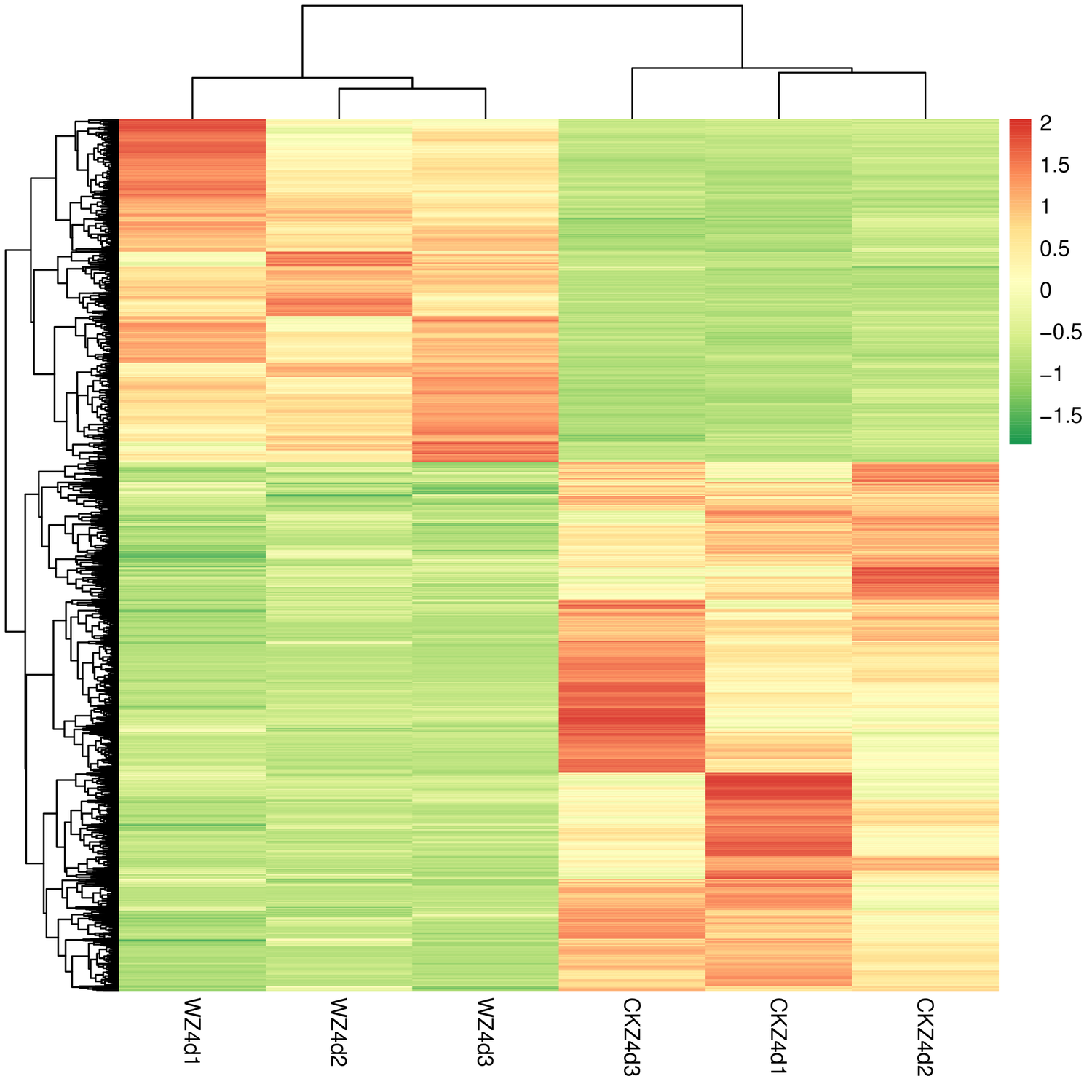 CKD4_vs_WD4_diff_gene_meta_heatmap