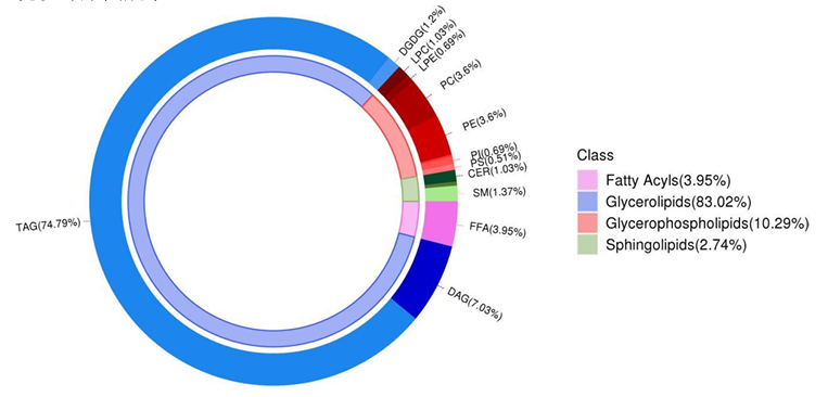 脂质组成环形图