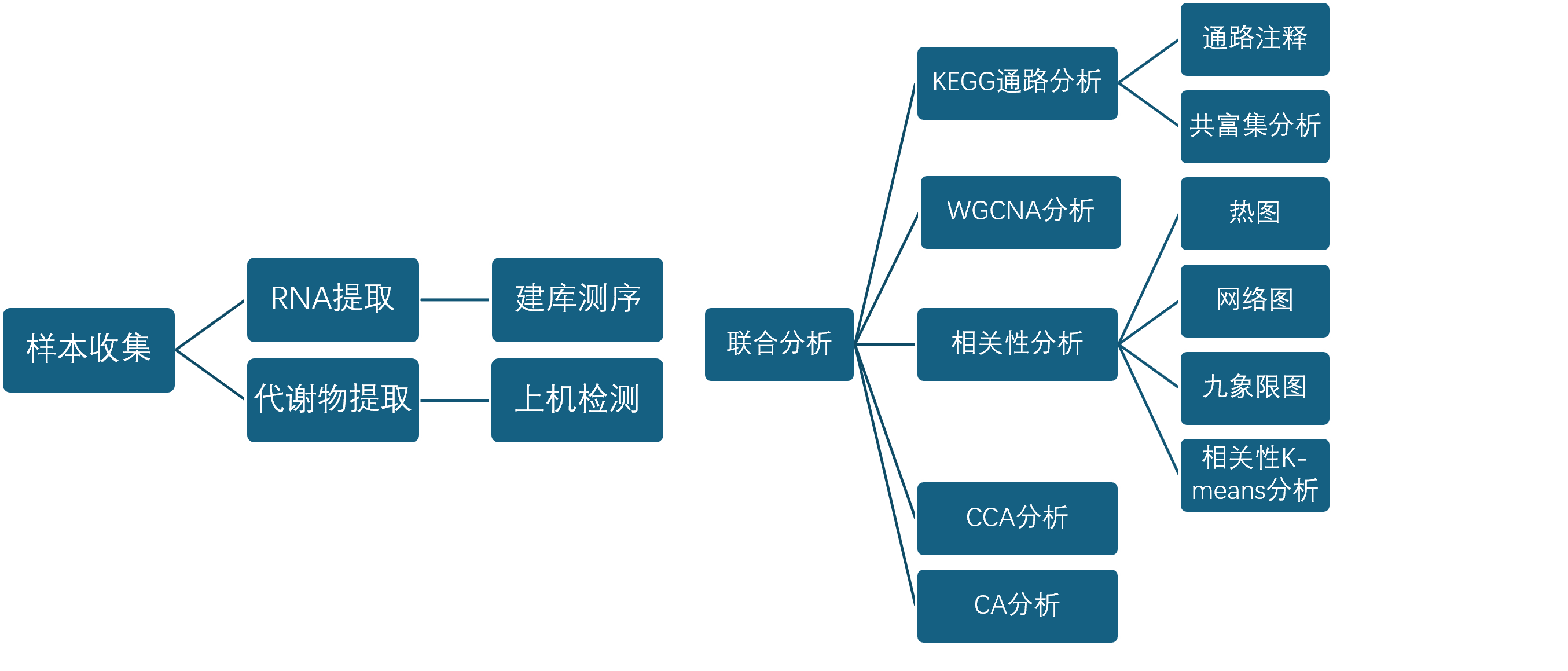 转录组+代谢联合