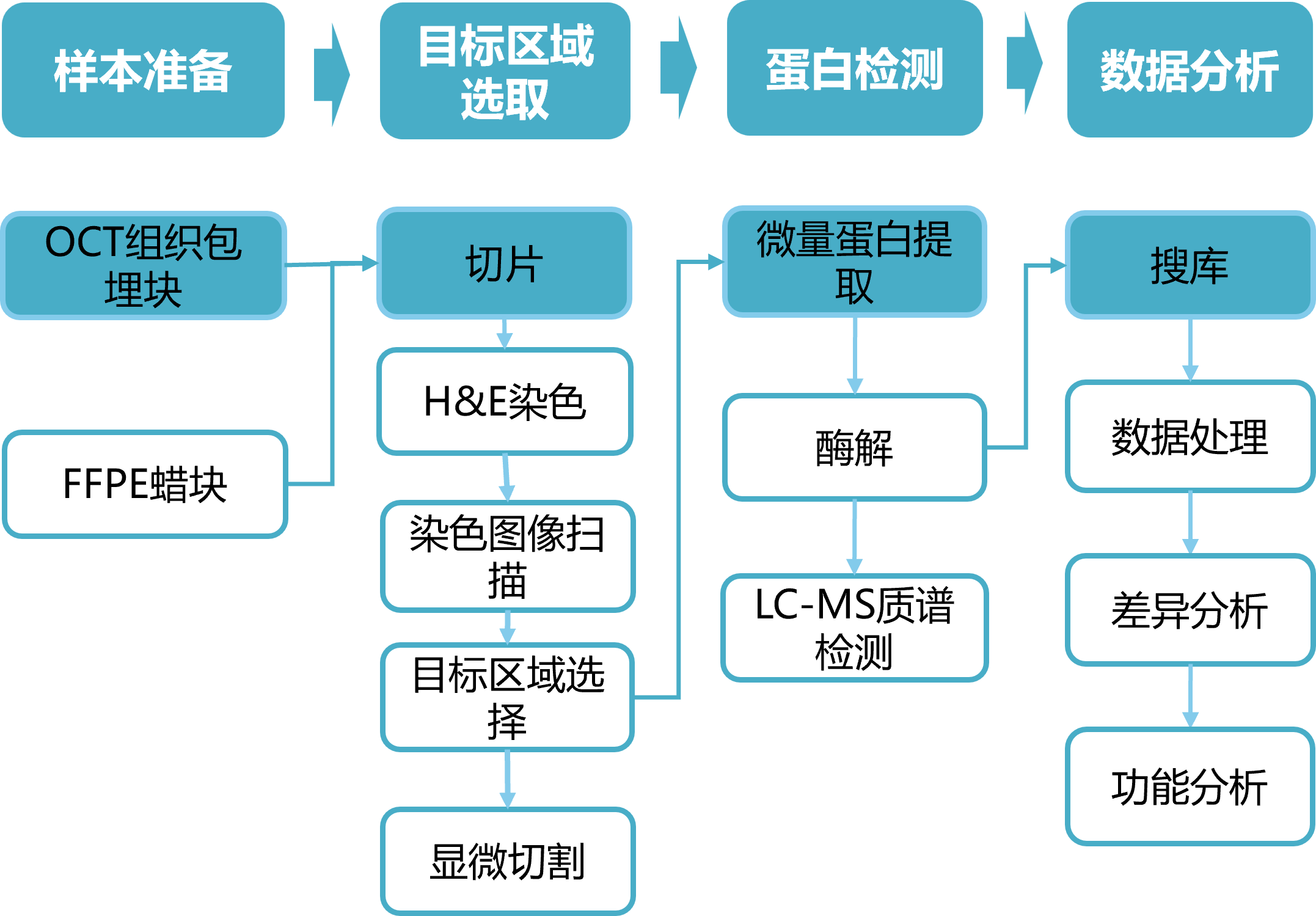 空间蛋白组流程